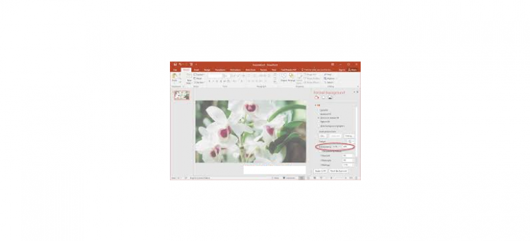 cách làm ảnh chìm trong powerpoint