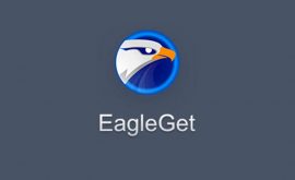 Hướng dẫn tải và cài đặt phần mềm download eagleget