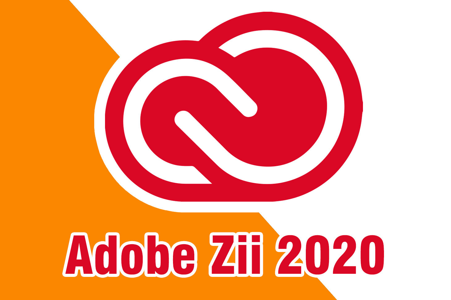 adobe zii 2020 not working